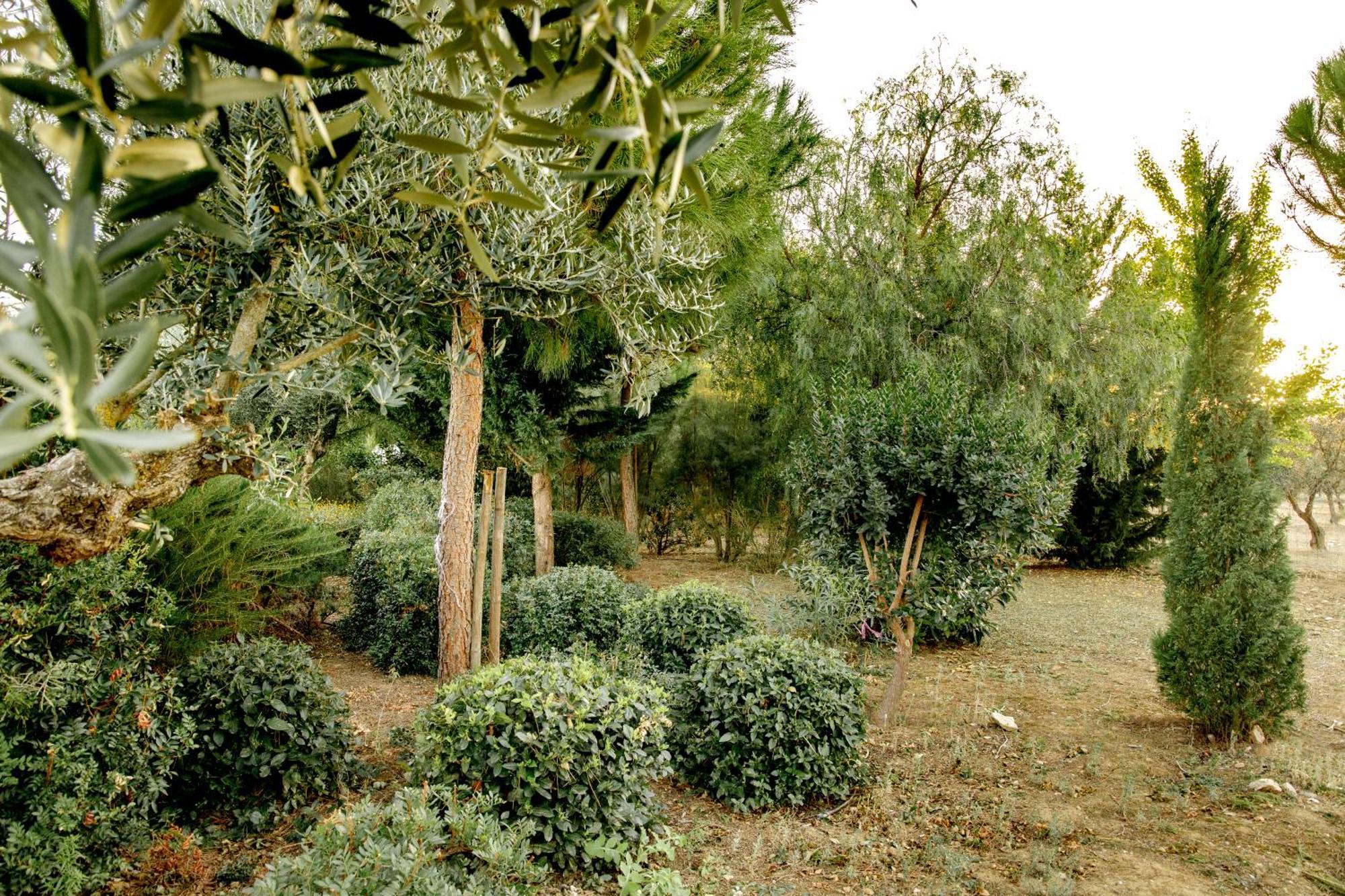 Villa Monte Da Hortinha Estremoz Exterior foto